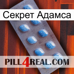 Секрет Адамса viagra3